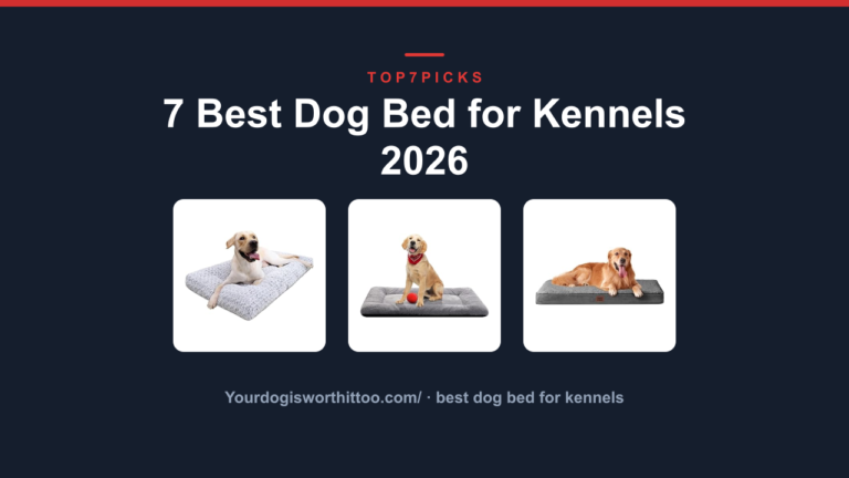 7 Best Dog Bed for Kennels 2026