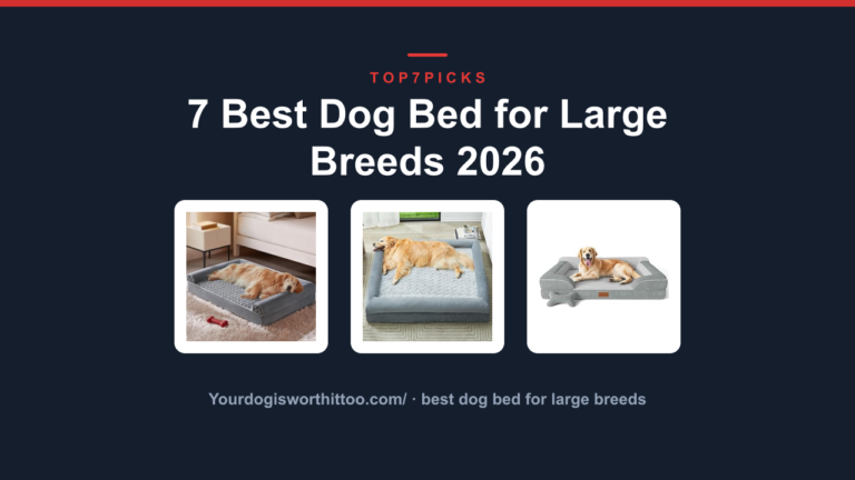 7 Best Dog Bed for Large Breeds 2026