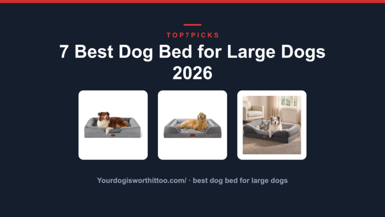 7 Best Dog Bed for Large Dogs 2026