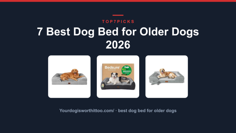 7 Best Dog Bed for Older Dogs 2026