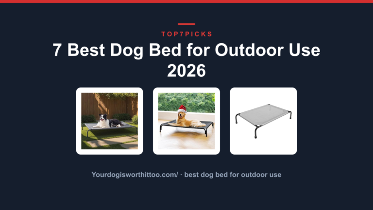 7 Best Dog Bed for Outdoor Use 2026