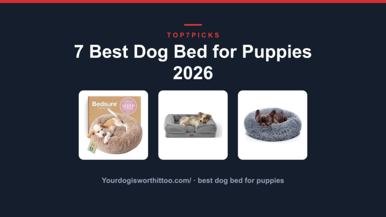 7 Best Dog Bed for Puppies 2026