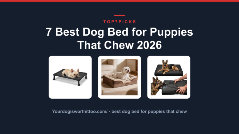 7 Best Dog Bed for Puppies That Chew 2026