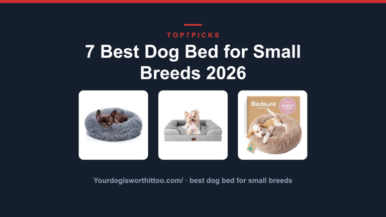 7 Best Dog Bed for Small Breeds 2026