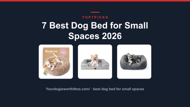 7 Best Dog Bed for Small Spaces 2026
