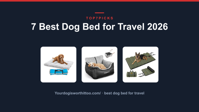 7 Best Dog Bed for Travel 2026