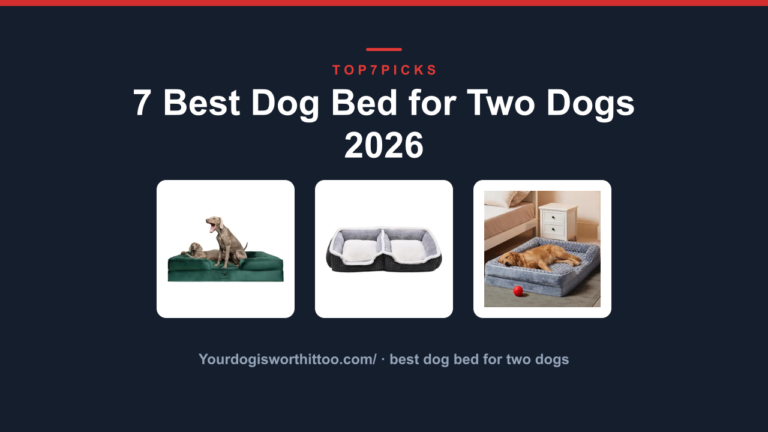 7 Best Dog Bed for Two Dogs 2026