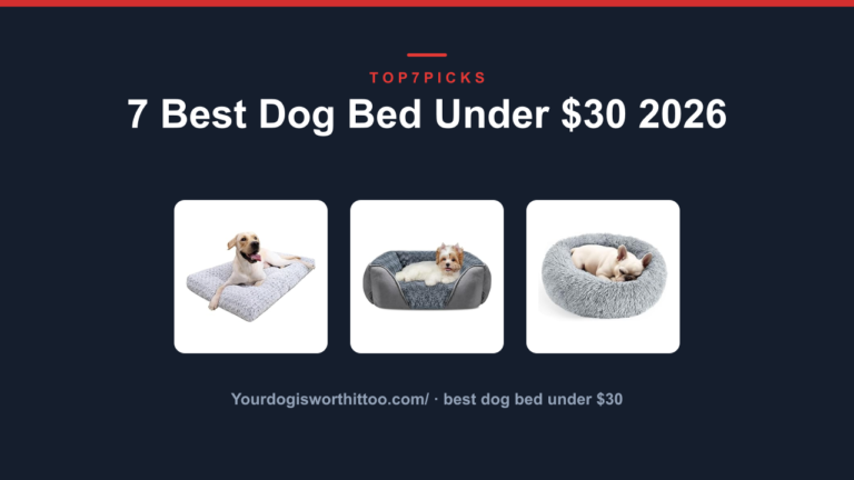 7 Best Dog Bed Under $30 2026