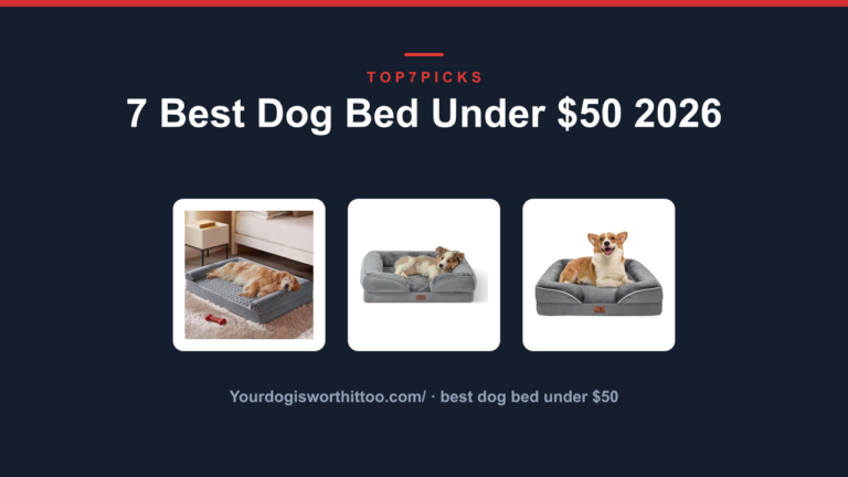 7 Best Dog Bed Under $50 2026
