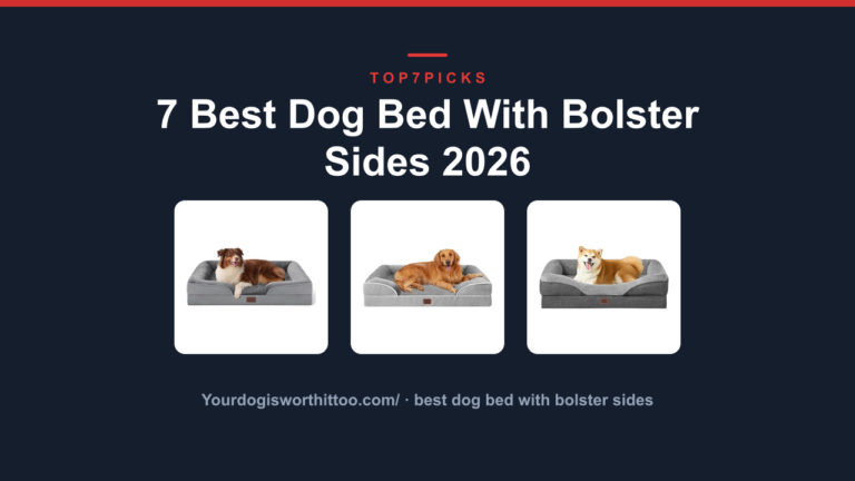 7 Best Dog Bed With Bolster Sides 2026