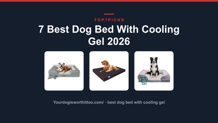 7 Best Dog Bed With Cooling Gel 2026