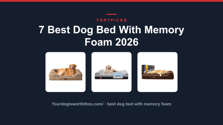 7 Best Dog Bed With Memory Foam 2026