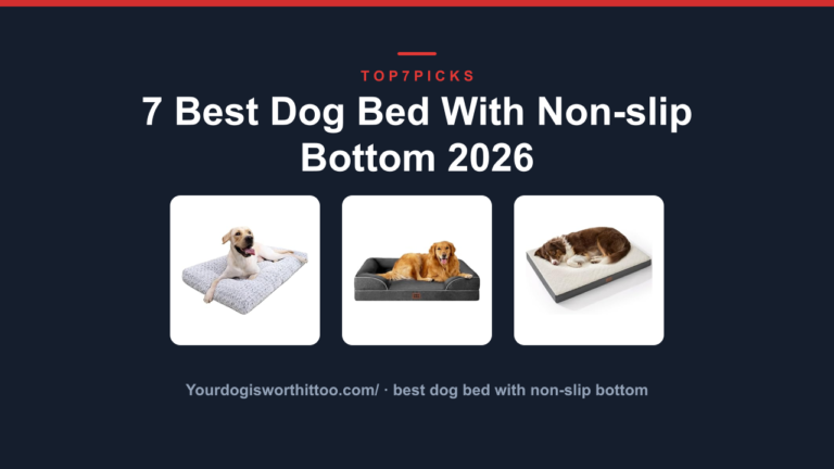 7 Best Dog Bed With Non-slip Bottom 2026
