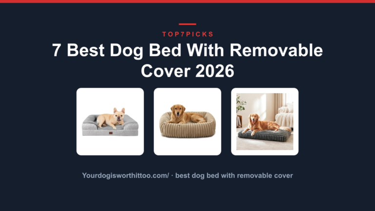 7 Best Dog Bed With Removable Cover 2026