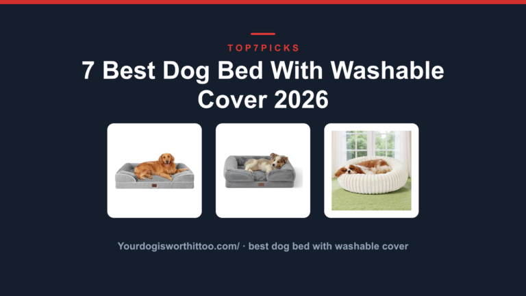 7 Best Dog Bed With Washable Cover 2026