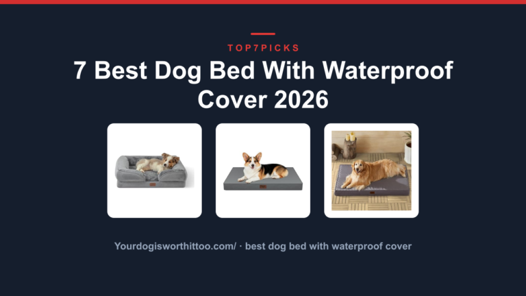 7 Best Dog Bed With Waterproof Cover 2026