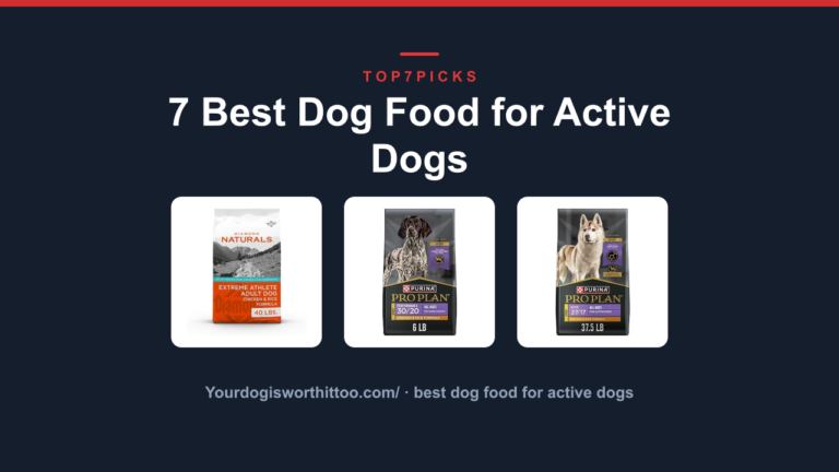 7 Best Dog Food for Active Dogs