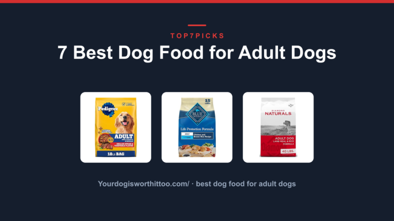 7 Best Dog Food for Adult Dogs