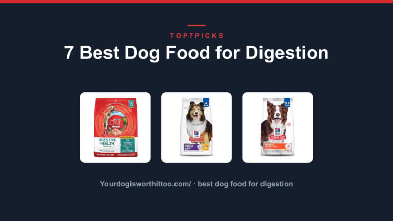 7 Best Dog Food for Digestion