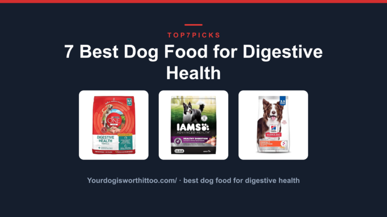 7 Best Dog Food for Digestive Health