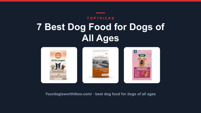 7 Best Dog Food for Dogs of All Ages