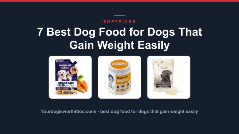 7 Best Dog Food for Dogs That Gain Weight Easily