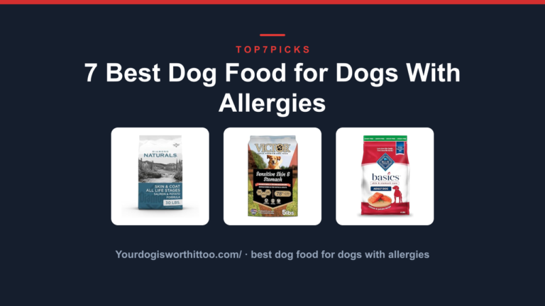 7 Best Dog Food for Dogs With Allergies
