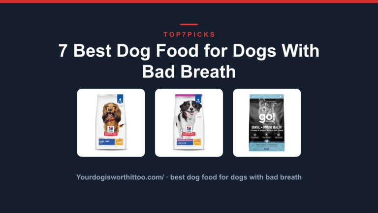 7 Best Dog Food for Dogs With Bad Breath