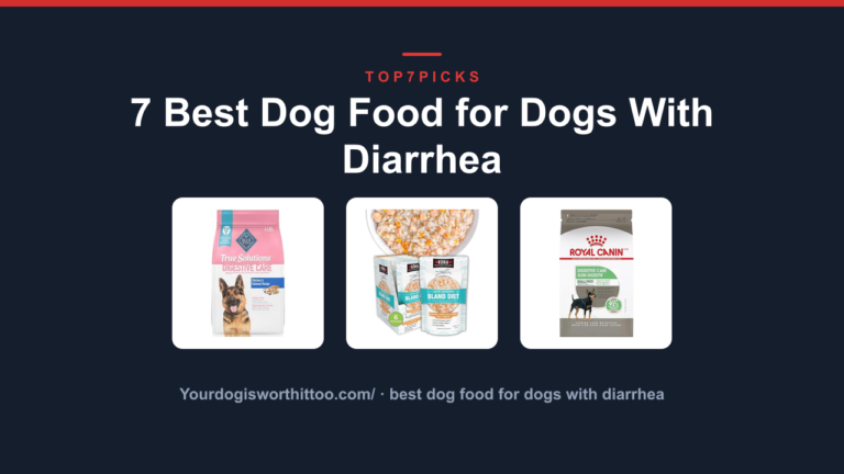 7 Best Dog Food for Dogs With Diarrhea