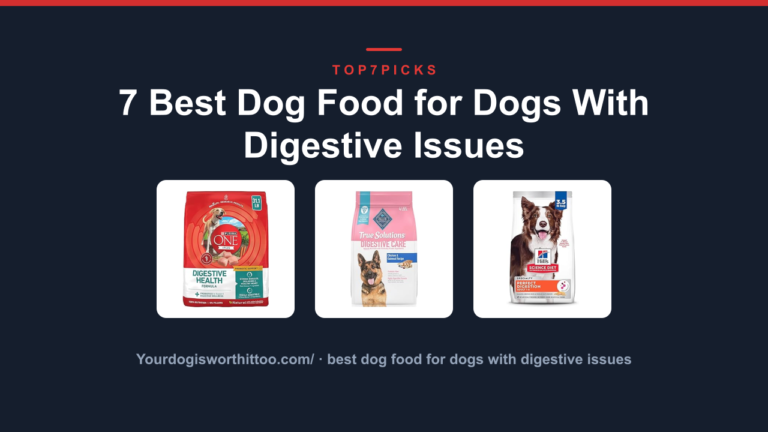 7 Best Dog Food for Dogs With Digestive Issues
