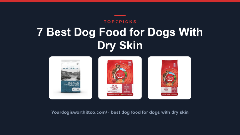 7 Best Dog Food for Dogs With Dry Skin