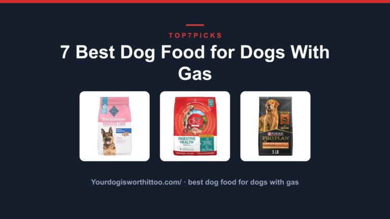 7 Best Dog Food for Dogs With Gas