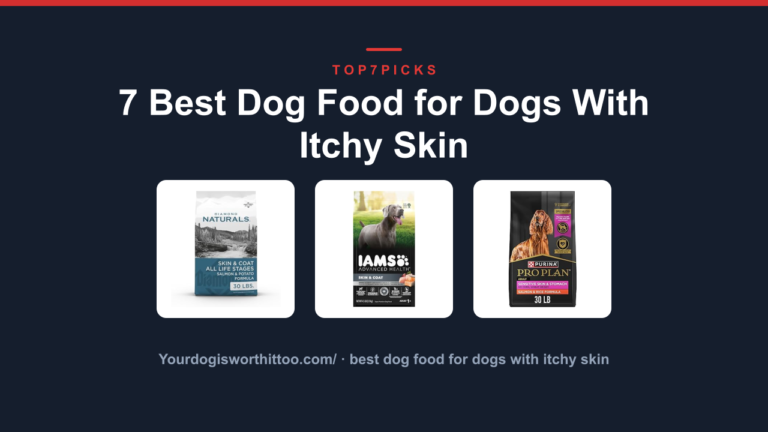 7 Best Dog Food for Dogs With Itchy Skin