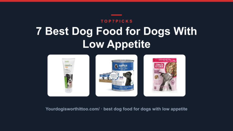 7 Best Dog Food for Dogs With Low Appetite