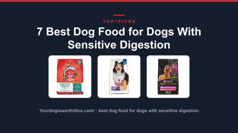 7 Best Dog Food for Dogs With Sensitive Digestion