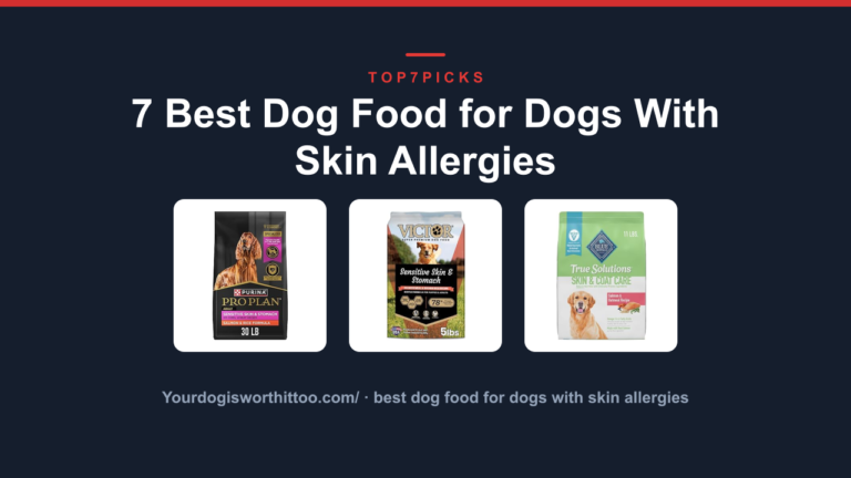 7 Best Dog Food for Dogs With Skin Allergies