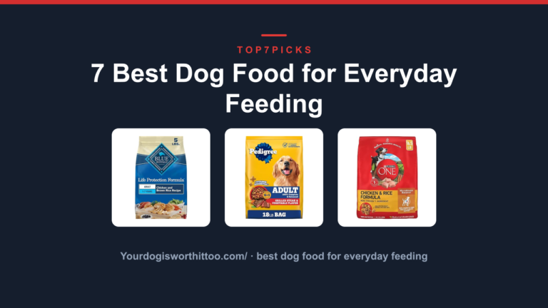 7 Best Dog Food for Everyday Feeding