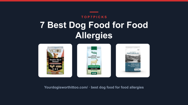 7 Best Dog Food for Food Allergies