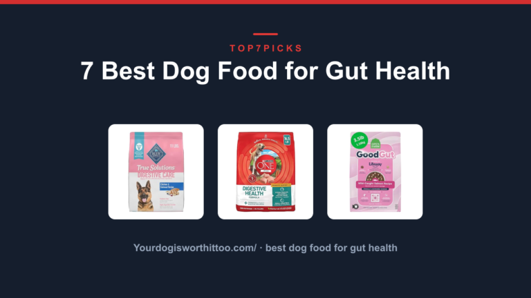 7 Best Dog Food for Gut Health