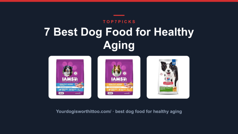 7 Best Dog Food for Healthy Aging