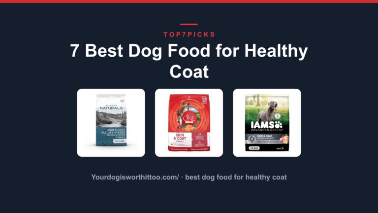 7 Best Dog Food for Healthy Coat