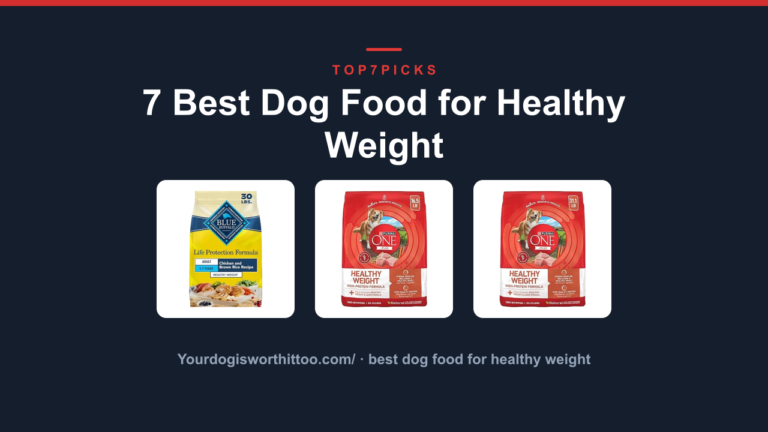 7 Best Dog Food for Healthy Weight