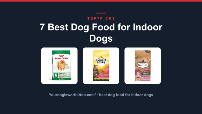 7 Best Dog Food for Indoor Dogs