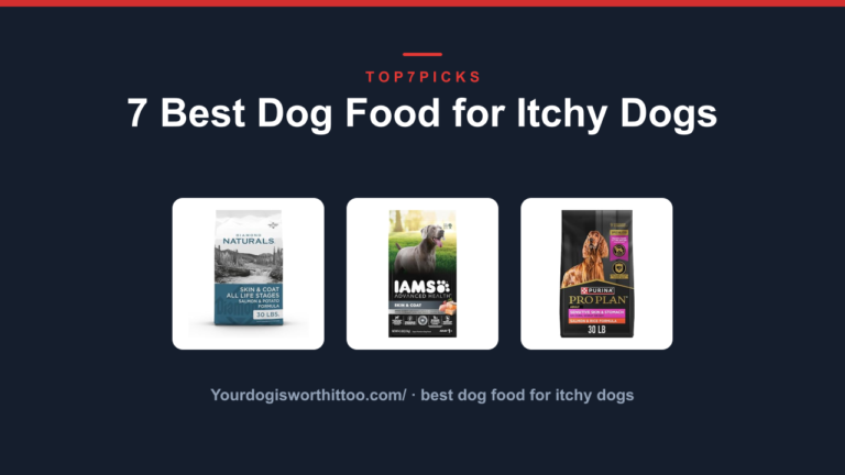 7 Best Dog Food for Itchy Dogs