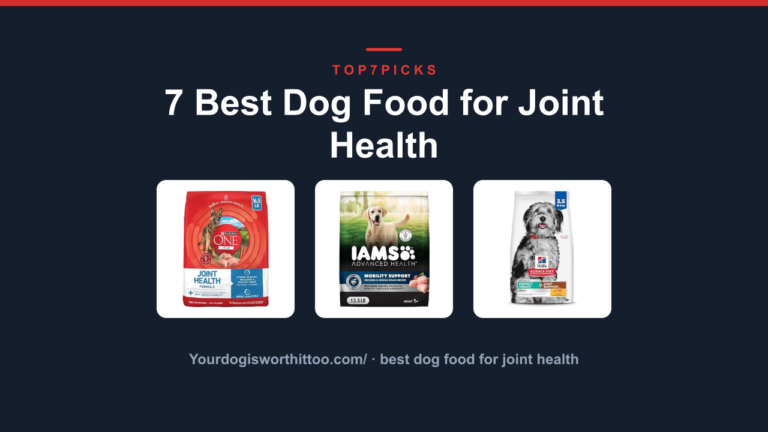 7 Best Dog Food for Joint Health