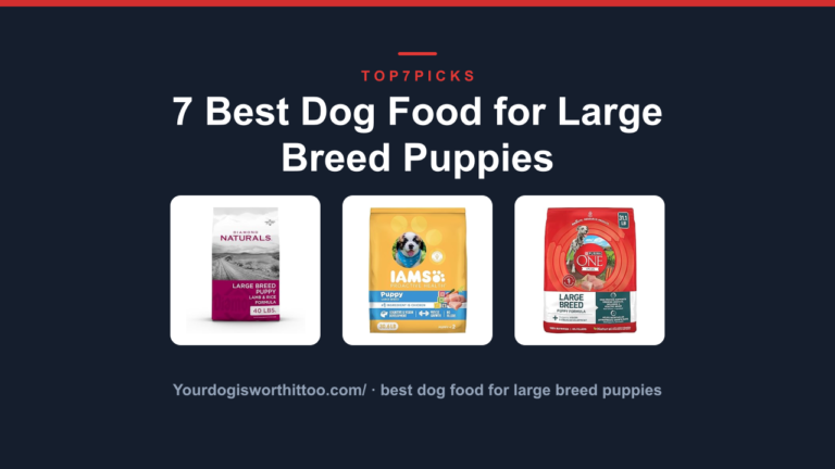 7 Best Dog Food for Large Breed Puppies
