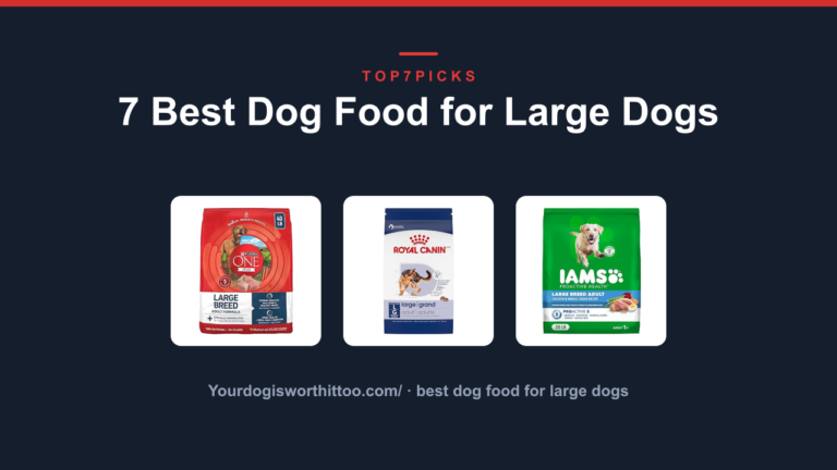 7 Best Dog Food for Large Dogs