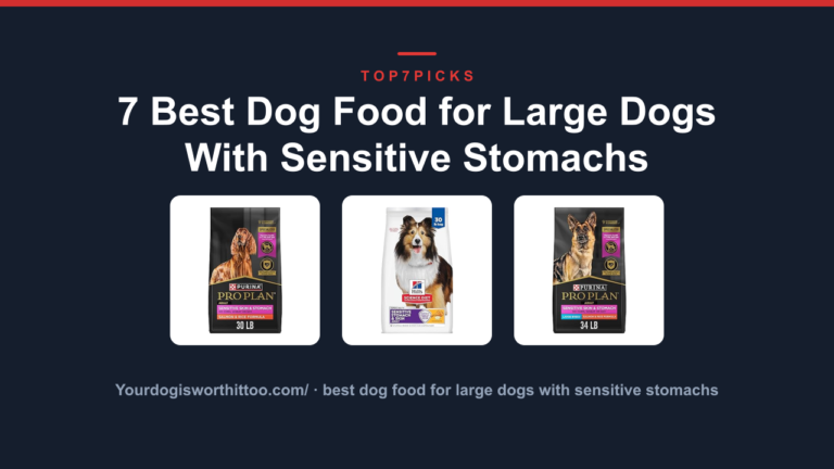 7 Best Dog Food for Large Dogs With Sensitive Stomachs