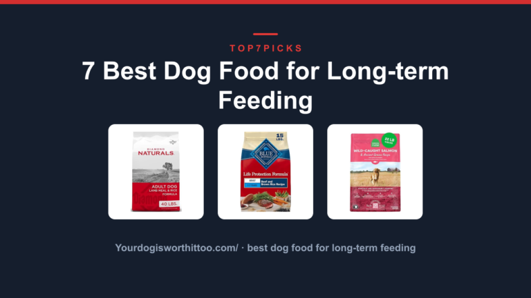 7 Best Dog Food for Long-term Feeding