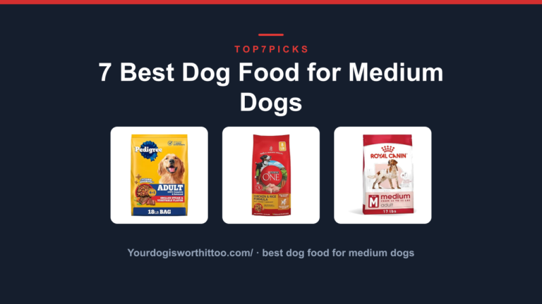 7 Best Dog Food for Medium Dogs